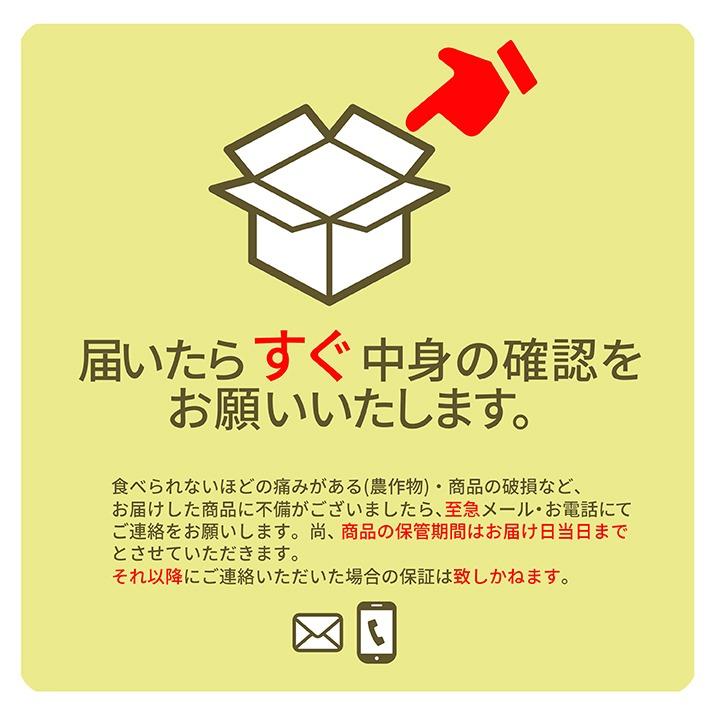 山形県産 りんご 秋映 10kg ご家庭用 茶箱入り (30〜50玉前後)   送料無料  山産地直送りんご お徳用 果物｜azimiya｜11