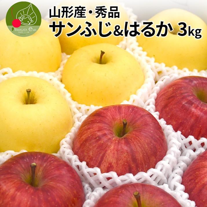 りんご サンふじ ＆ はるか 蜜入り セット 秀品 3kg 約10〜12玉入 贈答