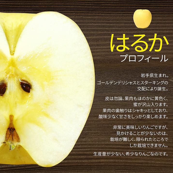 りんご サンふじ ＆ はるか 蜜入り セット 秀品 3kg 約10〜12玉入 贈答