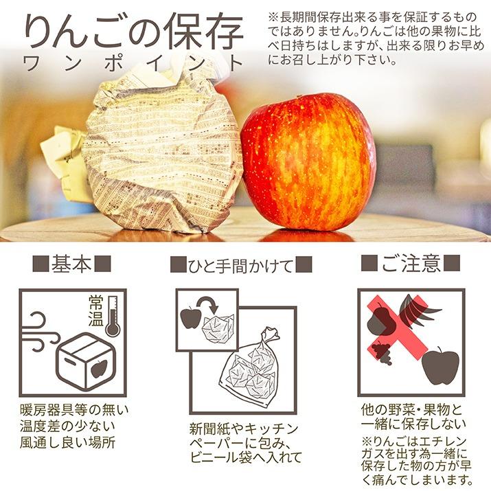 りんご サンふじ ＆ はるか 蜜入り セット 秀品 3kg 約10〜12玉入 贈答