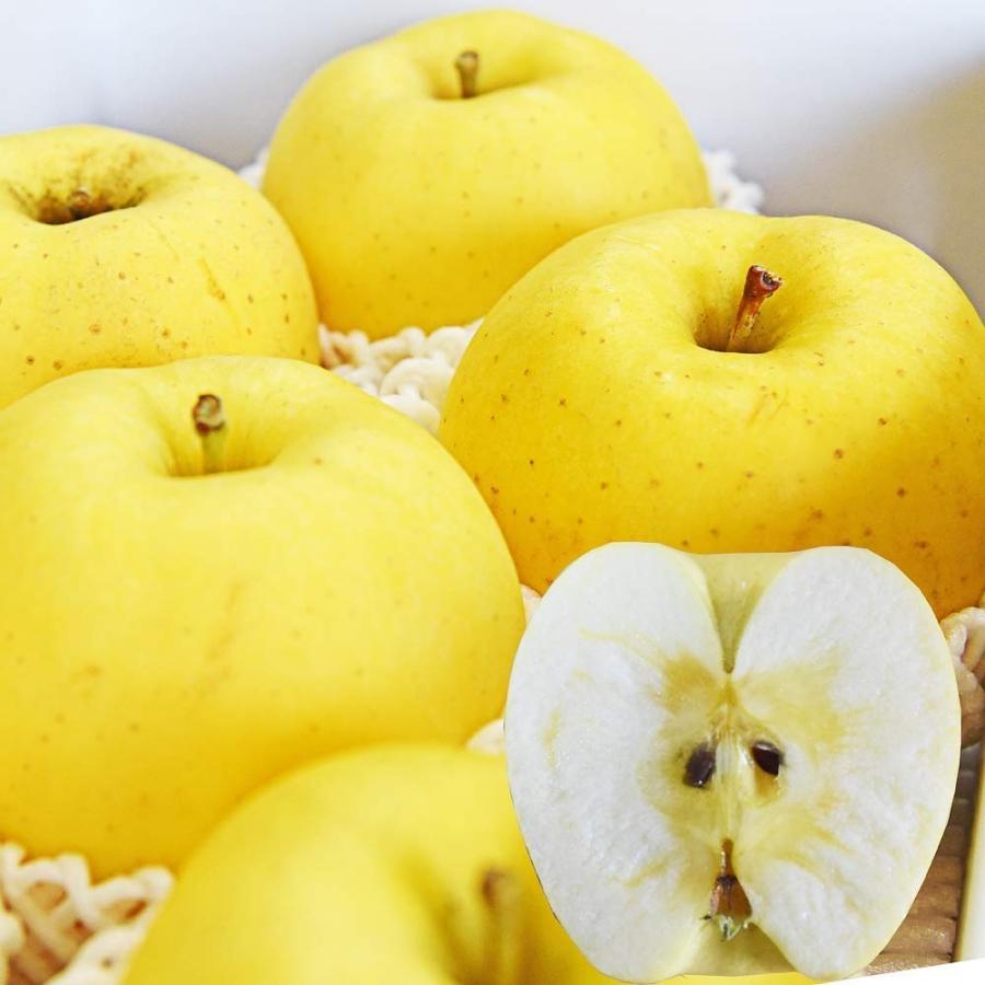 りんご サンふじ ＆ はるか 蜜入り セット 秀品 3kg 約10〜12玉入 贈答