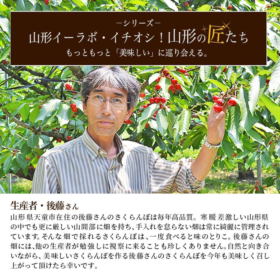 龍鳳、送料分 24VDC 60W 直流有刷低温小功率微型伺服电机- 世嘉电机