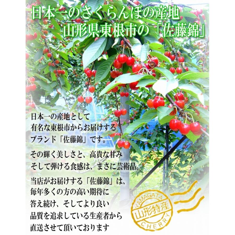 さくらんぼ 佐藤錦 1kg (500g×2) 特秀品 鏡詰め ギフト 贈答 2Lサイズ