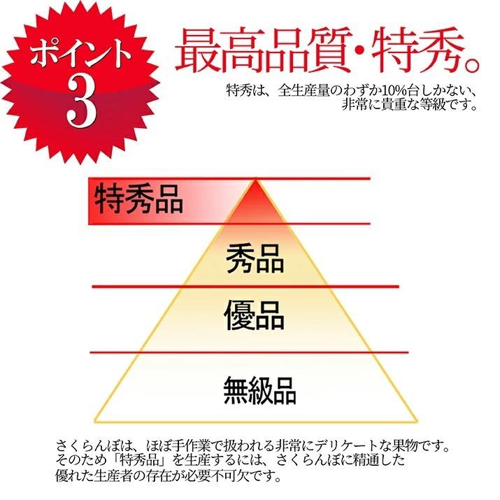 母の日 遅れてごめんね ギフト さくらんぼ 佐藤錦 Lサイズ 300g 鏡詰め 山形 特秀品 2024 山形県産 サクランボ 送料無料 ギフト プレゼント 贈り物 贈答 2024｜azimiya｜09