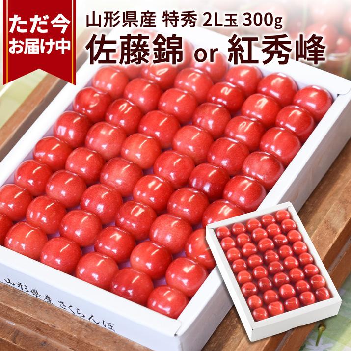 只今お届け中 さくらんぼ ギフト 佐藤錦 2L玉 300g 鏡詰め 只今お届け中 さくらんぼ ギフト 佐藤錦 2L玉 300g 鏡詰め