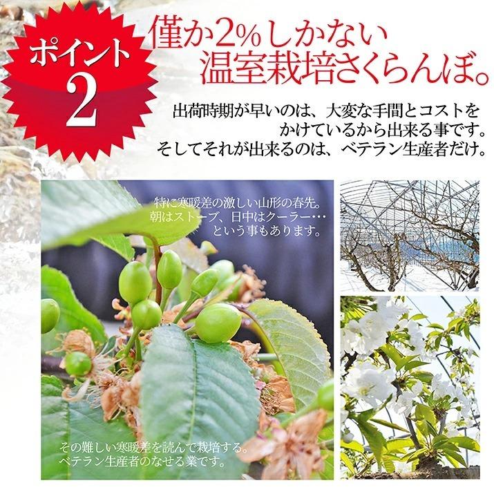 母の日 まだ間に合う ギフト さくらんぼ 佐藤錦 ２Ｌ玉 300ｇ 鏡詰め 山形 特秀 2024 山形県産 サクランボ 手詰め 送料無料 化粧箱入 プレゼント 贈答｜azimiya｜07