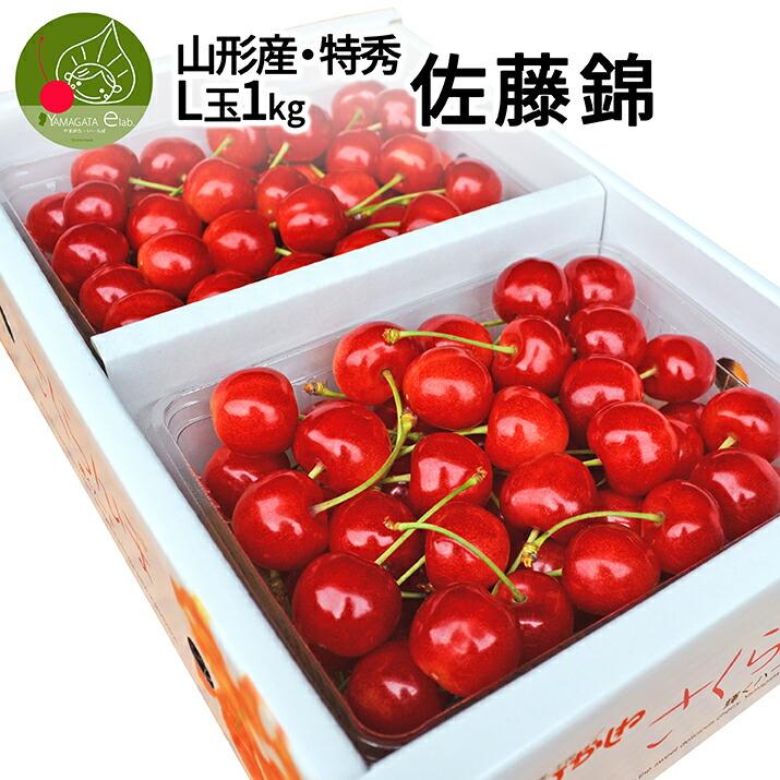 さくらんぼ 佐藤錦 1kg (500g×2) 特秀品 ギフト 贈答 Lサイズ 山形