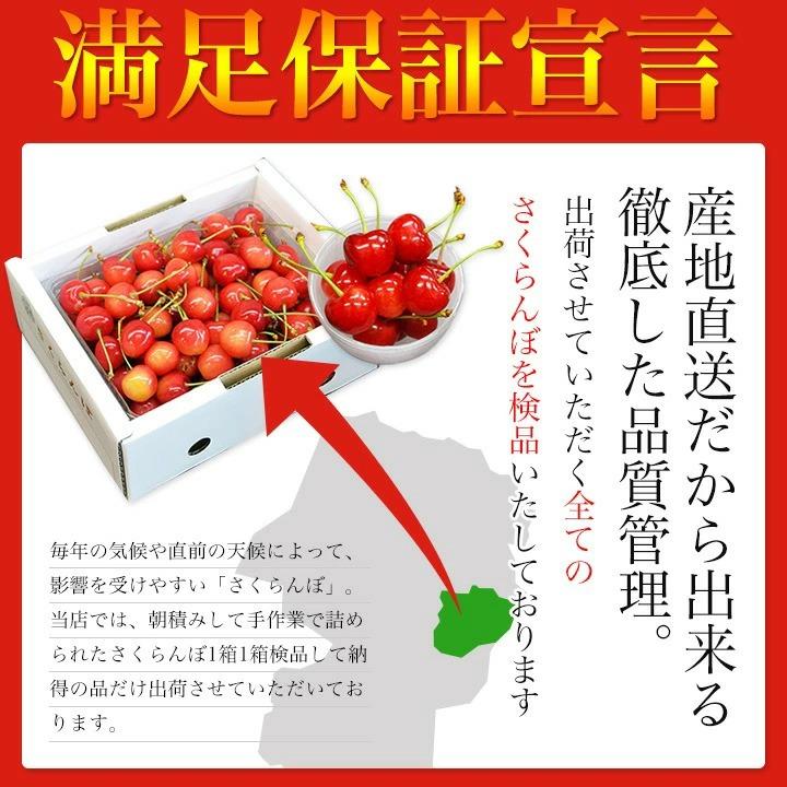 さくらんぼ 佐藤錦 1kg (500g×2) 特秀品 ギフト 贈答 Lサイズ 山形
