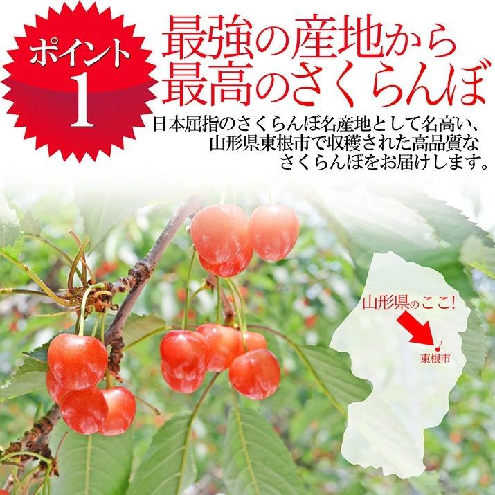 さくらんぼ 佐藤錦 1kg (500g×2) 特秀品 ギフト 贈答 Lサイズ 山形