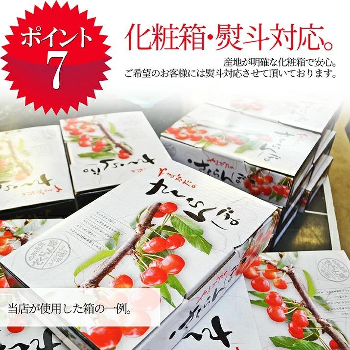 さくらんぼ 佐藤錦 1kg (500g×2) 特秀品 ギフト 贈答 Lサイズ 山形