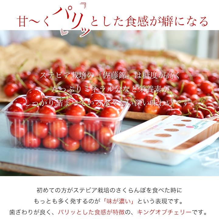 さくらんぼ 大将錦 1kg (500g×2) 秀品 ギフト 贈答 Lサイズ 山形 山形