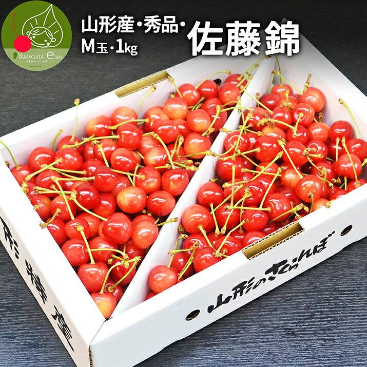 【佐藤錦•1キロ】さくらんぼ　Mサイズ　現物 さくらんぼ 佐藤錦 1kg 秀品 ギフト 贈答 Mサイズ 山形 山形県産 お