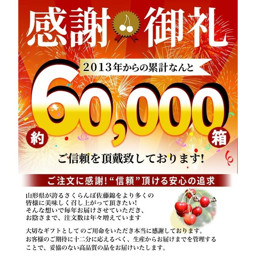 さくらんぼ 紅秀峰 300g 特秀品 鏡詰め ギフト 贈答 3Lサイズ 山形 山形県産 お取り寄せ フルーツ サクランボ チェリー さくらんぼ 送料無料 果物_10