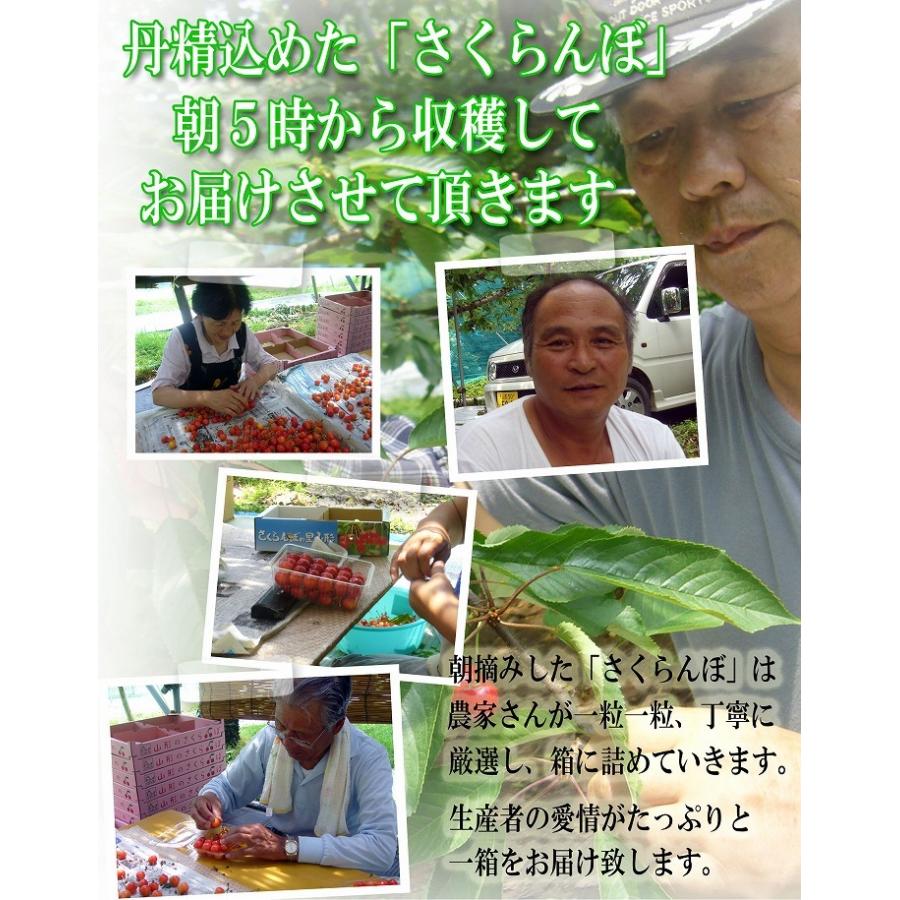 さくらんぼ 紅秀峰 300g 特秀品 鏡詰め ギフト 贈答 3Lサイズ 山形 山形県産 お取り寄せ フルーツ サクランボ チェリー さくらんぼ 送料無料 果物_11