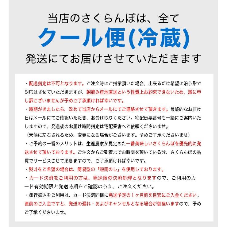さくらんぼ 紅秀峰 300g 特秀品 鏡詰め ギフト 贈答 3Lサイズ 山形 山形県産 お取り寄せ フルーツ サクランボ チェリー さくらんぼ 送料無料 果物_13