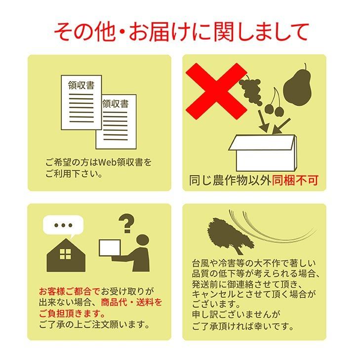 さくらんぼ 紅秀峰 300g 特秀品 鏡詰め ギフト 贈答 3Lサイズ 山形 山形県産 お取り寄せ フルーツ サクランボ チェリー さくらんぼ 送料無料 果物_17