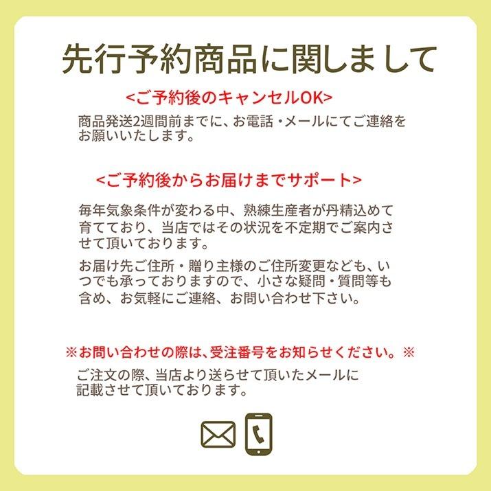 さくらんぼ 紅秀峰 300g 特秀品 鏡詰め ギフト 贈答 3Lサイズ 山形 山形県産 お取り寄せ フルーツ サクランボ チェリー さくらんぼ 送料無料 果物_19