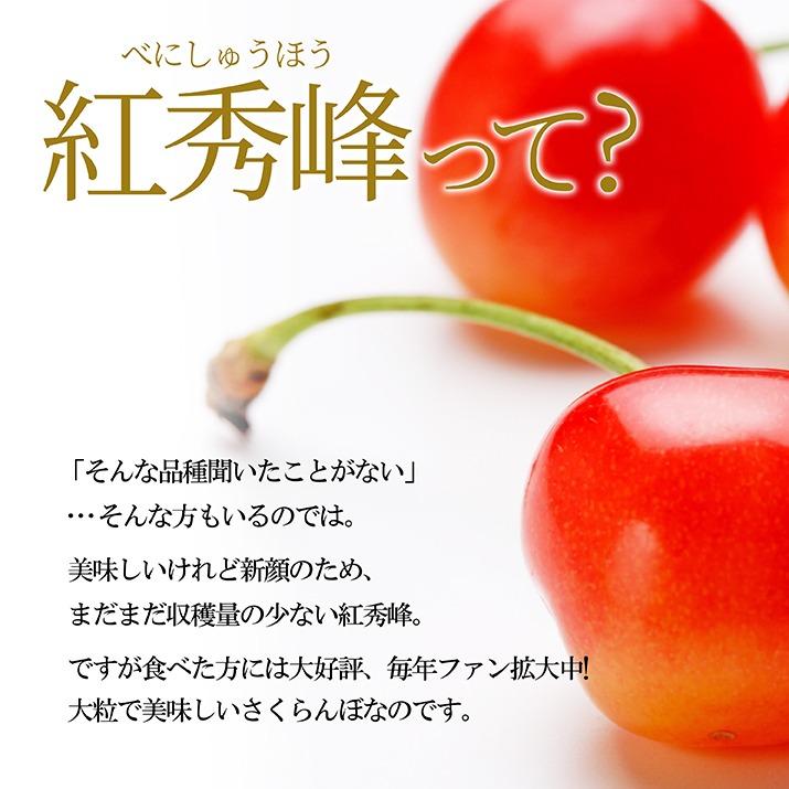 さくらんぼ 紅秀峰 300g 特秀品 鏡詰め ギフト 贈答 3Lサイズ 山形 山形県産 お取り寄せ フルーツ サクランボ チェリー さくらんぼ 送料無料 果物_1