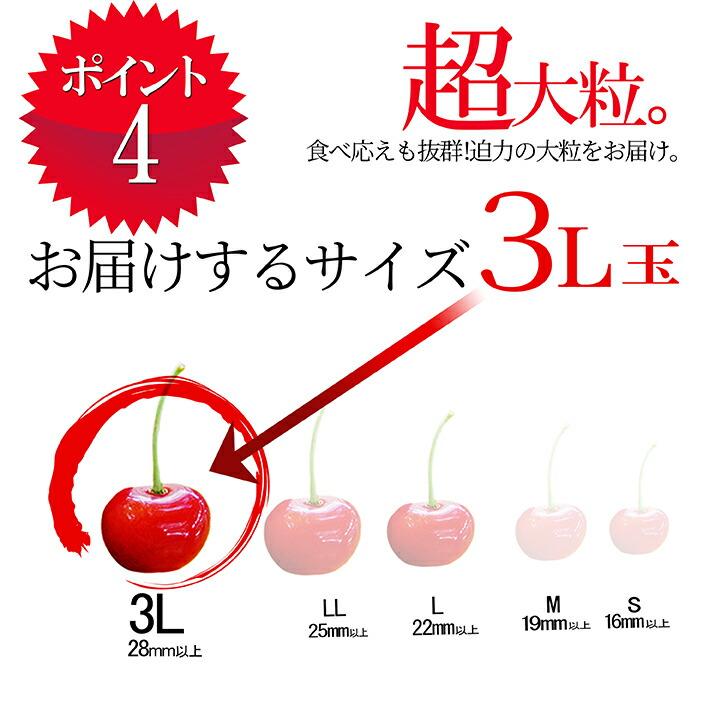 さくらんぼ 紅秀峰 300g 特秀品 鏡詰め ギフト 贈答 3Lサイズ 山形 山形県産 お取り寄せ フルーツ サクランボ チェリー さくらんぼ 送料無料 果物_5