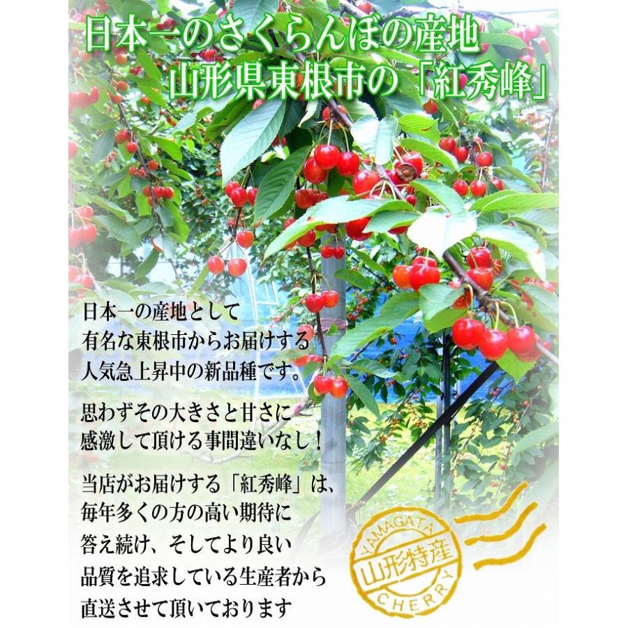 さくらんぼ 紅秀峰 300g 特秀品 鏡詰め ギフト 贈答 3Lサイズ 山形 山形県産 お取り寄せ フルーツ サクランボ チェリー さくらんぼ 送料無料 果物_8
