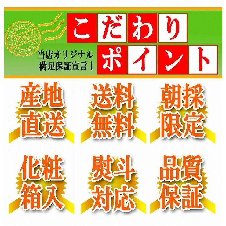 さくらんぼ 紅秀峰 300g 特秀品 鏡詰め ギフト 贈答 3Lサイズ 山形 山形県産 お取り寄せ フルーツ サクランボ チェリー さくらんぼ 送料無料 果物_9