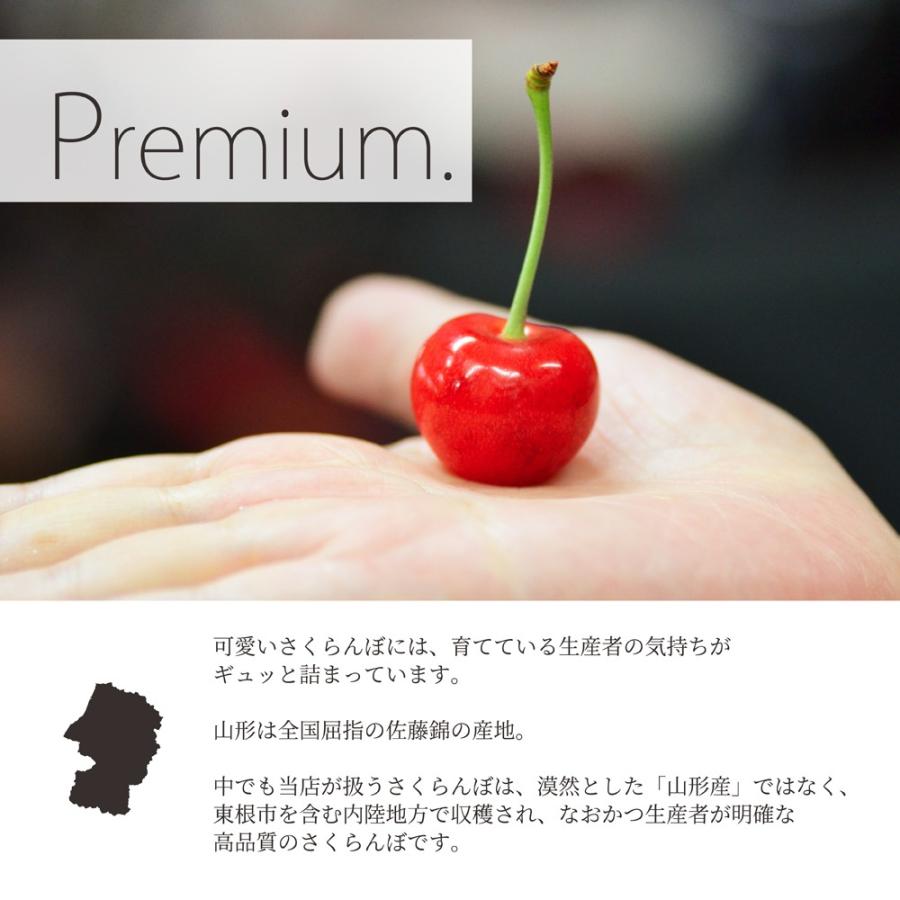 さくらんぼ 佐藤錦 or 紅秀峰 Lサイズ 160g×4 ちぇりっち 4 さくらんぼ 佐藤錦 or 紅秀峰 Lサイズ 160g×4 ちぇりっち 4