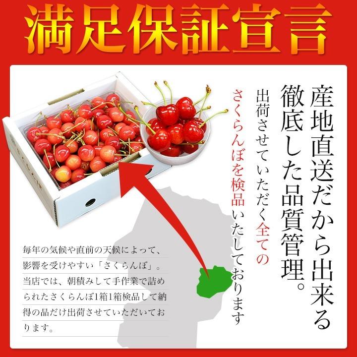 さくらんぼ 佐藤錦 or 紅秀峰 Lサイズ 160g×4 ちぇりっち 4 さくらんぼ 佐藤錦 or 紅秀峰 Lサイズ 160g×4 ちぇりっち 4