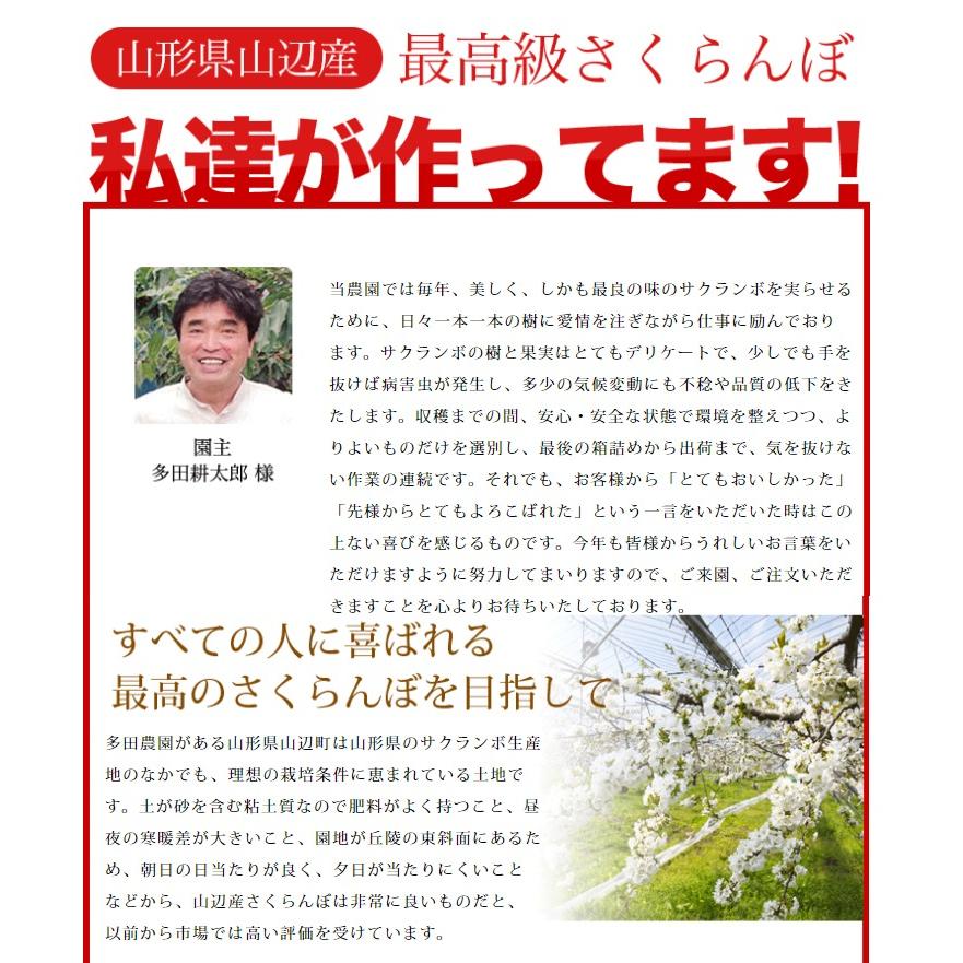 さくらんぼ 佐藤錦 2Ｌ玉 1,100g 桐箱入 山形 特秀 2024 山形県産 サクランボ 特選 化粧箱入 お中元 手詰め 厳選 送料無料 (遠方送料加算) ギフト 贈り物 贈答｜azimiya｜04