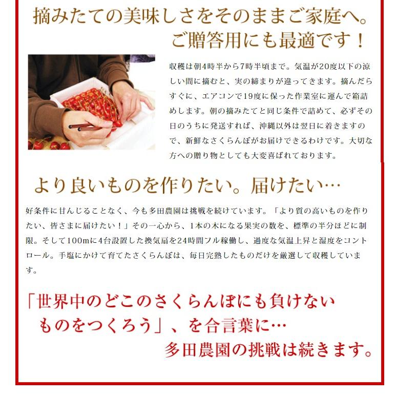 さくらんぼ 佐藤錦 2Ｌ玉 1,100g 桐箱入 山形 特秀 2024 山形県産 サクランボ 特選 化粧箱入 お中元 手詰め 厳選 送料無料 (遠方送料加算) ギフト 贈り物 贈答｜azimiya｜05