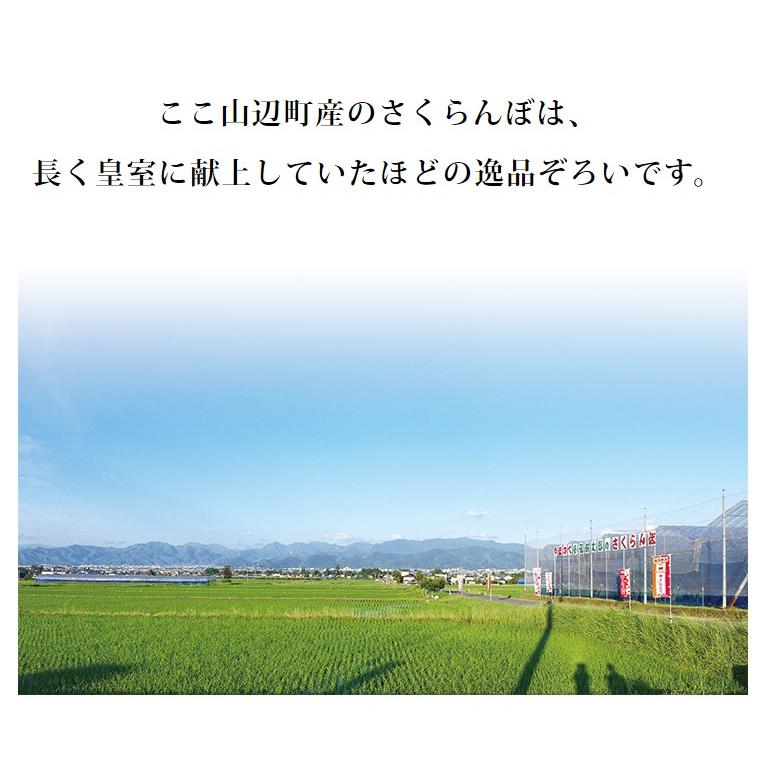 さくらんぼ 佐藤錦 2Ｌ玉 1,100g 桐箱入 山形 特秀 2024 山形県産 サクランボ 特選 化粧箱入 お中元 手詰め 厳選 送料無料 (遠方送料加算) ギフト 贈り物 贈答｜azimiya｜07