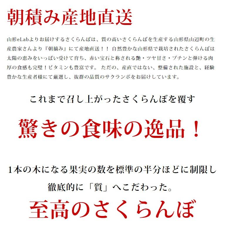 さくらんぼ 紅秀峰 2L玉 300g 桐箱 本詰め 山形 特秀 2024 山形県産 サクランボ ギフト 特選 化粧箱入 お中元 手詰め 送料無料 贈り物 贈答｜azimiya｜08