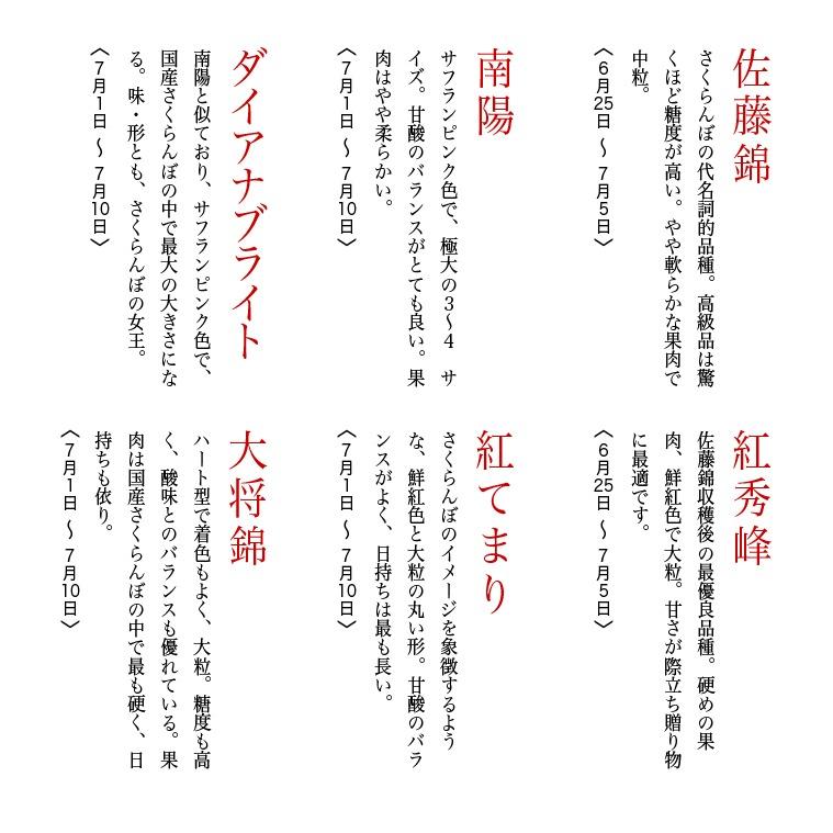 さくらんぼ 紅秀峰 2L玉 300g 桐箱 本詰め 山形 特秀 2024 山形県産 サクランボ ギフト 特選 化粧箱入 お中元 手詰め 送料無料 贈り物 贈答｜azimiya｜10