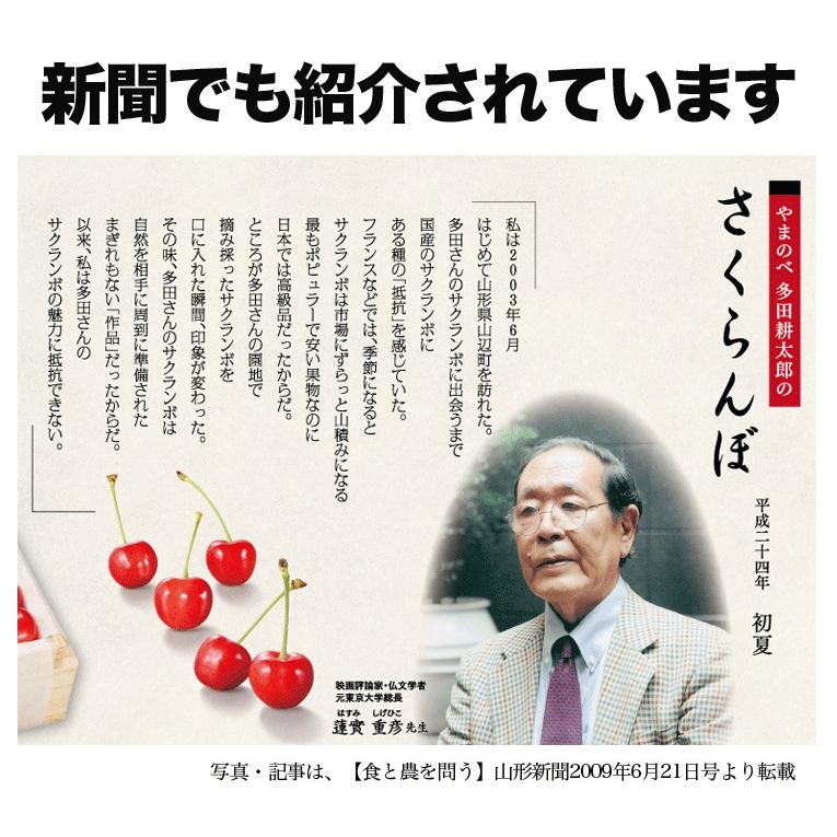 さくらんぼ 紅秀峰 2-3L玉 700g 桐箱 山形 特秀 2026 山形県産 サクランボ 特選 手詰め お中元 ギフト 贈り物 贈答 化粧箱入 厳選 送料無料_5