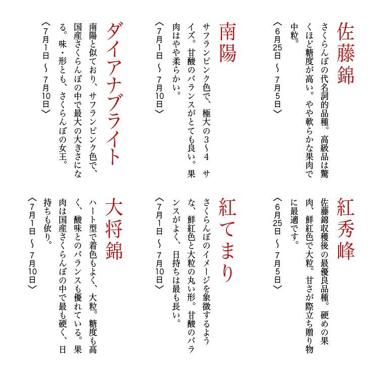 さくらんぼ 紅秀峰 2-3L玉 700g 桐箱 山形 特秀 2026 山形県産 サクランボ 特選 手詰め お中元 ギフト 贈り物 贈答 化粧箱入 厳選 送料無料_9