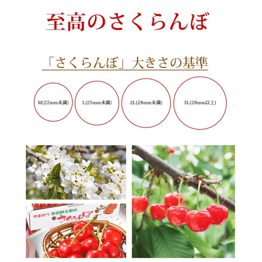 さくらんぼ ダイアナブライト 3L玉 700g 桐箱 山形 特秀 2026 山形県産