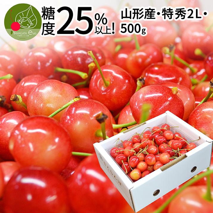 さくらんぼ 佐藤錦 or 紅秀峰 2L玉 500g バラ詰め 山形 特秀 2026 山形