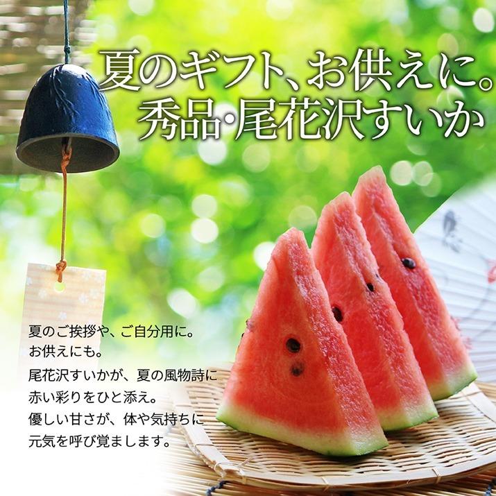 お中元 すいか 秀品 4Lから5L 9kg以上 1玉 尾花沢産 スイカ 大玉 贈答 自家用 甘い シャリシャリ 送料無料 遠方送料加算 |  | 01