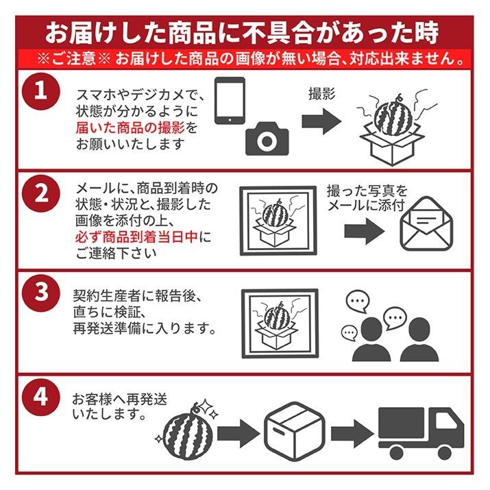 お中元 すいか 秀品 4Lから5L 9kg以上 1玉 尾花沢産 スイカ 大玉 贈答 自家用 甘い シャリシャリ 送料無料 遠方送料加算 |  | 15