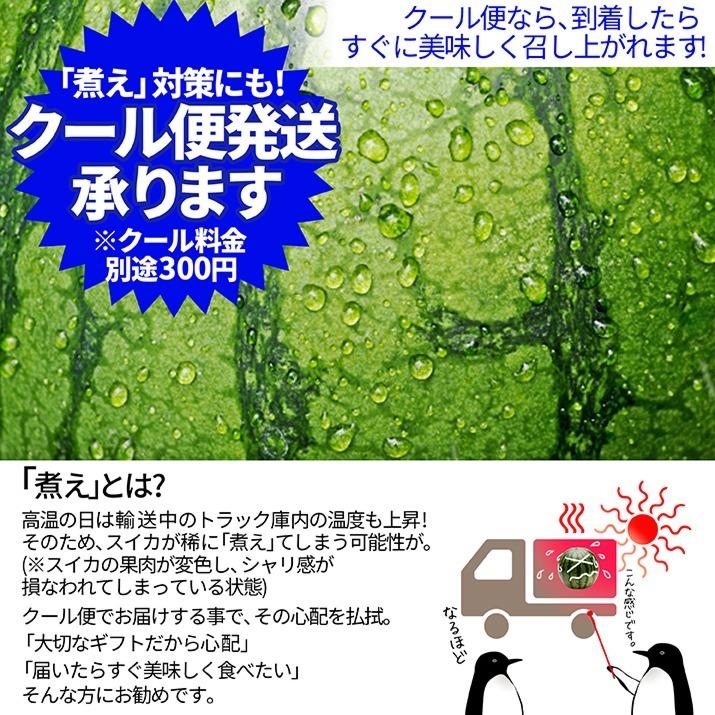 お中元 すいか 秀品 4Lから5L 9kg以上 1玉 尾花沢産 スイカ 大玉 贈答 自家用 甘い シャリシャリ 送料無料 遠方送料加算 |  | 02