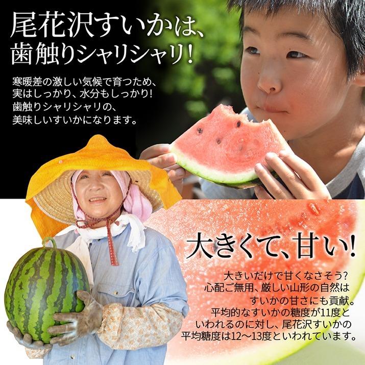 お中元 すいか 秀品 4Lから5L 9kg以上 1玉 尾花沢産 スイカ 大玉 贈答 自家用 甘い シャリシャリ 送料無料 遠方送料加算 |  | 06