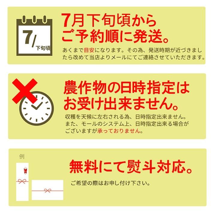 お中元 すいか 秀品 4Lから5L 9kg以上 1玉 尾花沢産 スイカ 大玉 贈答 自家用 甘い シャリシャリ 送料無料 遠方送料加算 |  | 09