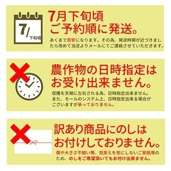 すいか 訳あり 6L 11kg以上 1玉 尾花沢産 スイカ 大玉 ご家庭用 自家用 甘い シャリシャリ 送料無料 遠方送料加算 |  | 10