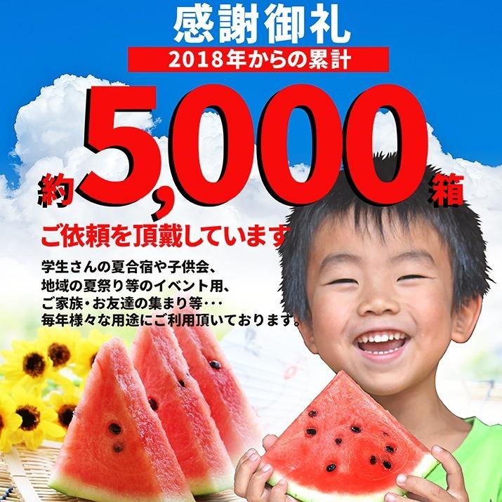 すいか 訳あり 2Lから3L 6.8kgから8kg前後 2玉 尾花沢産 スイカ ご家庭用 自家用 甘い シャリシャリ 送料無料 遠方送料加算 |  | 01