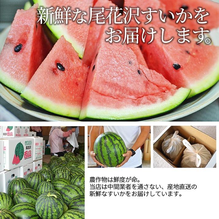 すいか 訳あり 2Lから3L 6.8kgから8kg前後 2玉 尾花沢産 スイカ ご家庭用 自家用 甘い シャリシャリ 送料無料 遠方送料加算 |  | 05