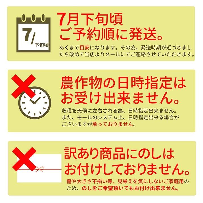 すいか 訳あり 4Lから5L 9kgから10kg前後 2玉 尾花沢産 スイカ　大玉 ご家庭用 自家用 甘い シャリシャリ 送料無料 |  | 10