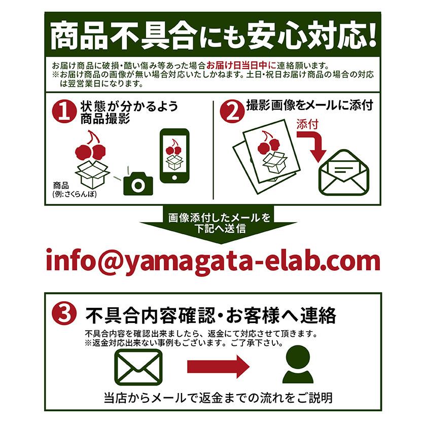 すいか 訳あり 4Lから5L 9kgから10kg前後 2玉 尾花沢産 スイカ　大玉 ご家庭用 自家用 甘い シャリシャリ 送料無料 |  | 16