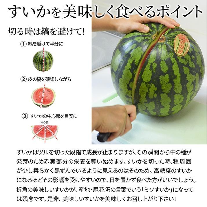 すいか 訳あり 4Lから5L 9kgから10kg前後 2玉 尾花沢産 スイカ　大玉 ご家庭用 自家用 甘い シャリシャリ 送料無料 |  | 07
