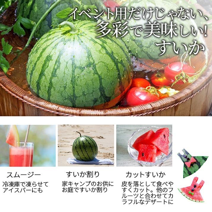 すいか 訳あり 4Lから5L 9kgから10kg前後 2玉 尾花沢産 スイカ　大玉 ご家庭用 自家用 甘い シャリシャリ 送料無料 |  | 08