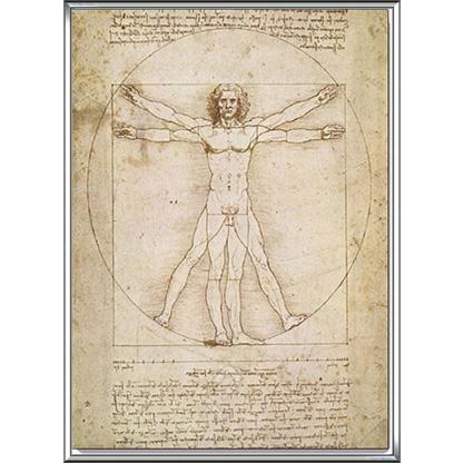 最終値下げ ウィトルウィウス的人体図 レオナルド ダ ヴィンチ 額装品 アルミ製ハイグレードフレーム 第1位獲得 Transparenciaproactiva Neza Gob Mx