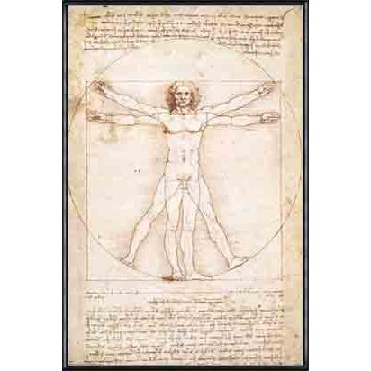 50 Off ウィトルウィウス的人体図 レオナルド ダ ヴィンチ 額装品 アルミ製ハイグレードフレーム 注目ブランド Www Gran Gusto It